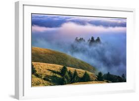 Magical Land of Fog and Light, Mount Tamalpais State Park, California-Vincent James-Framed Photographic Print