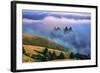 Magical Land of Fog and Light, Mount Tamalpais State Park, California-Vincent James-Framed Photographic Print