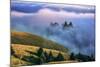 Magical Land of Fog and Light, Mount Tamalpais State Park, California-Vincent James-Mounted Photographic Print