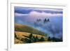 Magical Land of Fog and Light, Mount Tamalpais State Park, California-Vincent James-Framed Photographic Print