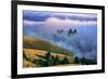 Magical Land of Fog and Light, Mount Tamalpais State Park, California-Vincent James-Framed Photographic Print