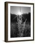 Magical Light-Martin Henson-Framed Photographic Print