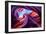 Magical Lower Antelope Canyon-Nanouk El Gamal-Framed Photographic Print