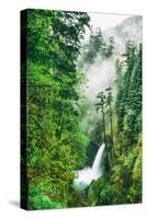 Magical Metlako Falls in Spring, Waterfall Columbia River Gorge, Oregon-Vincent James-Stretched Canvas
