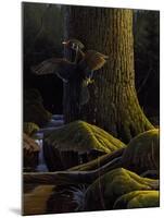 Magical Moment-Michael Budden-Mounted Giclee Print