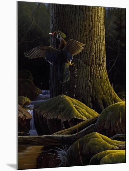 Magical Moment-Michael Budden-Mounted Giclee Print