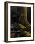 Magical Moment-Michael Budden-Framed Giclee Print