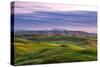 Magical Morning Hills, Marin County Landscape, Bay Area-Vincent James-Stretched Canvas