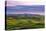 Magical Morning Hills, Marin County Landscape, Bay Area-Vincent James-Stretched Canvas