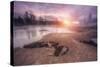 Magical Mud Pot Morning, Yellowstone Wyoming-Vincent James-Stretched Canvas