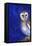 Magical Night 1, 2013,-Nancy Moniz Charalambous-Framed Stretched Canvas