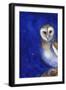 Magical Night 1, 2013-Nancy Moniz-Framed Giclee Print