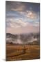 Magical Petaluma Morning Fog, Cows Farm, Northern California Hills-Vincent James-Mounted Photographic Print