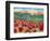 Magical Poppy Field-Carissa Luminess-Framed Giclee Print