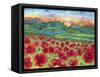 Magical Poppy Field-Carissa Luminess-Framed Stretched Canvas