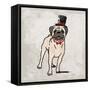 Magical Pug 2-Marcus Prime-Framed Stretched Canvas