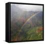 Magical Rainbow in Waimea Canyon in Kauai from a Helicopter-pdb1-Framed Stretched Canvas