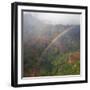 Magical Rainbow in Waimea Canyon in Kauai from a Helicopter-pdb1-Framed Photographic Print