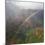 Magical Rainbow in Waimea Canyon in Kauai from a Helicopter-pdb1-Mounted Photographic Print