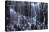 Magical Ramona Falls Abstract, Oregon Wilderness-Vincent James-Stretched Canvas