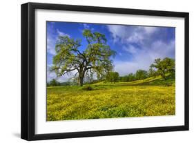 Magical Spring Afternoon at Shell Creek Road, Atascadero California-Vincent James-Framed Photographic Print