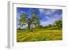 Magical Spring Afternoon at Shell Creek Road, Atascadero California-Vincent James-Framed Photographic Print