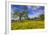 Magical Spring Afternoon at Shell Creek Road, Atascadero California-Vincent James-Framed Photographic Print