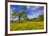 Magical Spring Afternoon at Shell Creek Road, Atascadero California-Vincent James-Framed Photographic Print