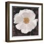 Magical White Cosmos-Ivo-Framed Art Print