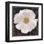 Magical White Cosmos-Ivo-Framed Art Print