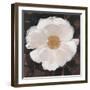 Magical White Cosmos-Ivo-Framed Art Print