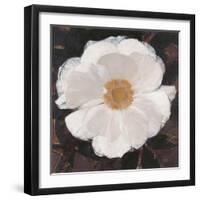 Magical White Cosmos-Ivo-Framed Art Print