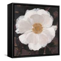 Magical White Cosmos-Ivo-Framed Stretched Canvas