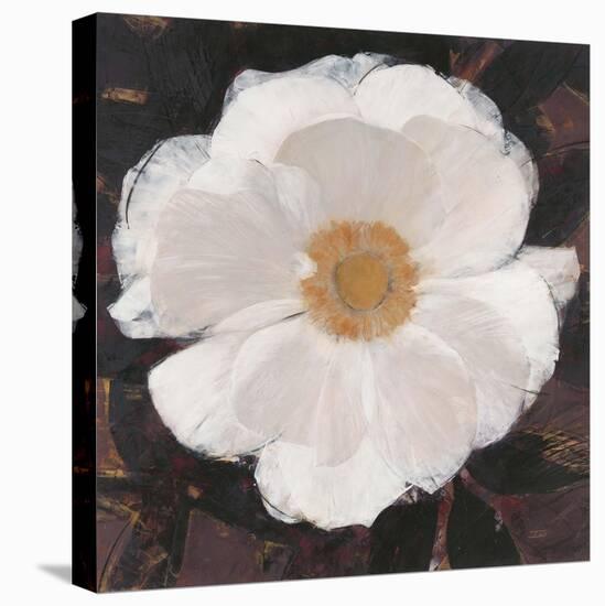 Magical White Cosmos-Ivo-Stretched Canvas