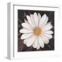 Magical White Daisy-Ivo-Framed Art Print