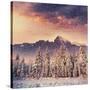Magical Winter Landscape, Background with Some Soft Highlights and Snow Flakes-standret-Stretched Canvas