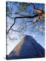 Magician's Pyramid, Uxmal, Yucatan State, Mexico-Paul Harris-Stretched Canvas