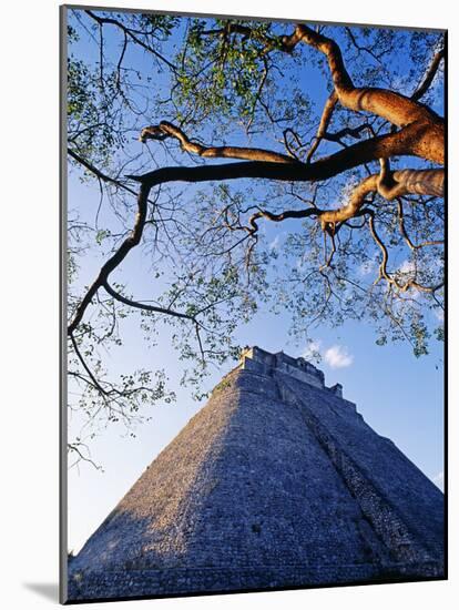 Magician's Pyramid, Uxmal, Yucatan State, Mexico-Paul Harris-Mounted Photographic Print