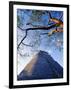 Magician's Pyramid, Uxmal, Yucatan State, Mexico-Paul Harris-Framed Photographic Print