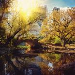 Central Park Pond and Bridge. New York, Usa.-Maglara-Photographic Print