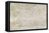 Magna Carta-null-Framed Stretched Canvas