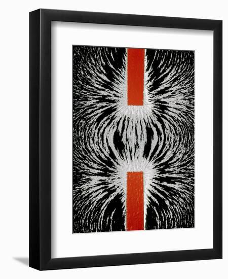 Magnetic Attraction-Cordelia Molloy-Framed Premium Photographic Print