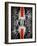 Magnetic Attraction-Cordelia Molloy-Framed Photographic Print