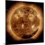 Magnetic Field Lines on the Sun-Stocktrek Images-Mounted Premium Photographic Print