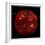 Magnetic Field Lines on the Sun-Stocktrek Images-Framed Premium Photographic Print