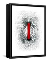 Magnetic Field-Cordelia Molloy-Framed Stretched Canvas