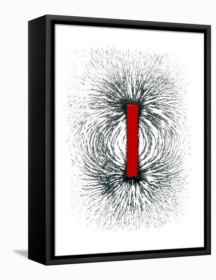 Magnetic Field-Cordelia Molloy-Framed Stretched Canvas