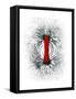 Magnetic Field-Cordelia Molloy-Framed Stretched Canvas