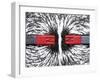 Magnetic Repulsion-Cordelia Molloy-Framed Premium Photographic Print