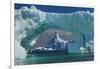 Magnificant Antartica-Art Wolfe-Framed Photographic Print